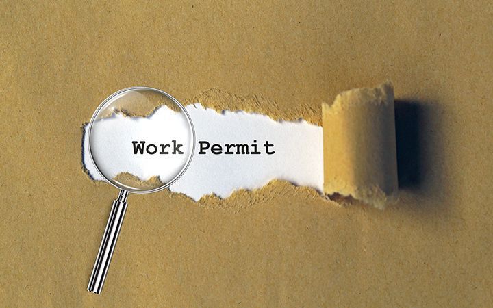 Судья: работайте, иммигранты  